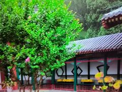 -宫事颐庭·老佛爷贵寿下午茶(颐和园店)