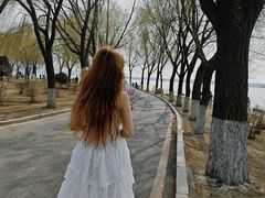 -丁香湖公园