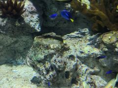 -福州罗源湾海洋世界旅游区