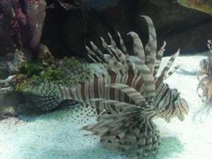 -苏州海洋馆