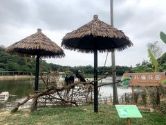 -李小龙乐园(顺德均安店)