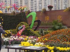 -西北湖绿化广场