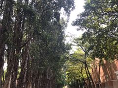 -广东外语外贸大学(白云山校区)