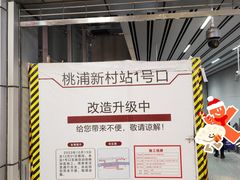 -桃浦新村(地铁站)