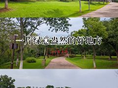 -盘龙城国家考古遗址公园