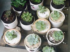 -何兮花店·气球派对鲜花店(马桥银春路万科城店)