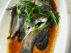 -众味海鲜大排档·活海鲜·潮汕味(南澳店)