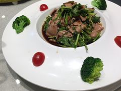 -天福苑(崇宁路店)