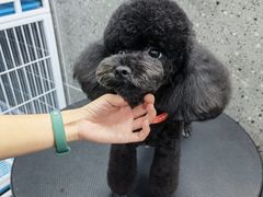 -宠物家(大兴旧宫店)