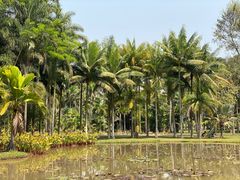 -中国科学院西双版纳热带植物园