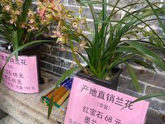 -园林美食城·本土农家菜(杨和镇店)