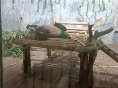 -深圳野生动物园