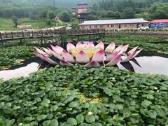-帽儿山风景区