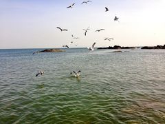 -海合安青岛极地海洋公园