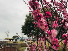 -东钱湖旅游度假区