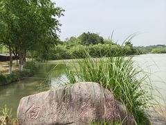 -杏花村文化旅游区