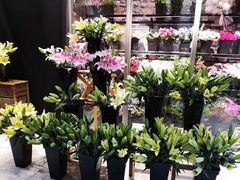 -金陵之星大酒店·中餐厅