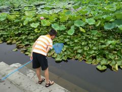 -三圣花乡旅游区