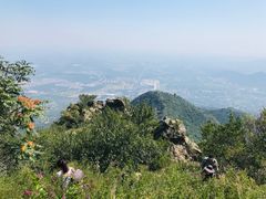 -阳台山自然风景区