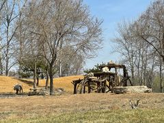 -北京野生动物园