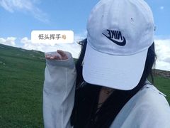 景点-空中草原