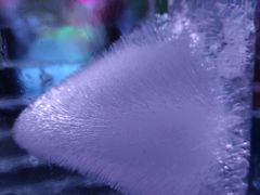 -宁波冰雪大世界(北仑区)