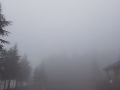 -武陵山森林公园