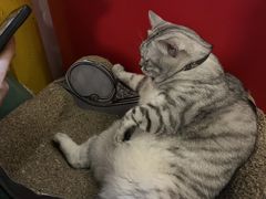 -H立方实景剧情密室(天河旗舰店)