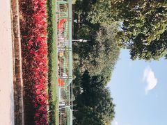 -天河儿童公园