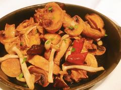 橄榄油煎蘑菇-藏红花·西班牙餐厅(北京五道营店)