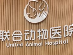 -联合动物医院(光谷诊疗中心)