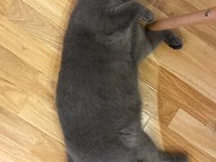 -壹人壹像工作室(购物公园店)