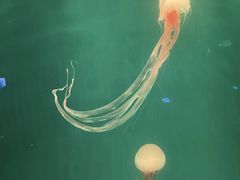 -郑州海洋馆