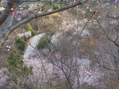 -北京西山国家森林公园