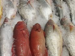 -新丁香海鲜酒店(银海商贸城店)