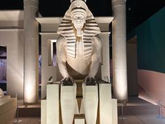 -遇见博物馆(遇见海洋沉浸式奇幻光影展)