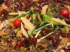 -老板恋上鱼(印象城店)