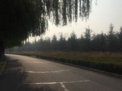 -洨河生态公园