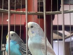 -映像威海·海鲜味道(市区店)