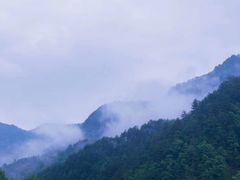 -黎坪国家森林公园
