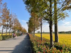 -嘉北郊野公园