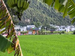 -明仕田园