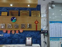 -瑞派名望志远动物医院·猫科·內科·异宠专科(直港大道店)