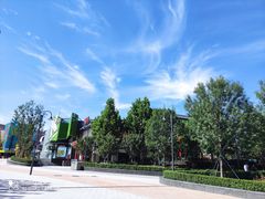 -环球影城莲花园 The Lotus Garden Universal Studios 