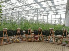 -迪茵湖田家舍生态农场