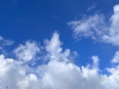 -海胆公主南澳岛美食海鲜