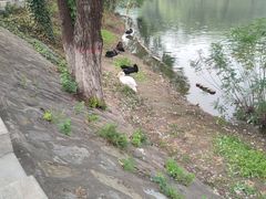 -石家庄市动物园