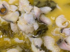 -海派美食·家宴海鲜青岛菜·石锅鲽鱼头(东方城店)