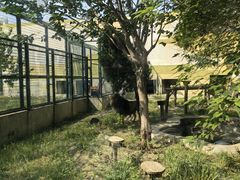 -天津市动物园
