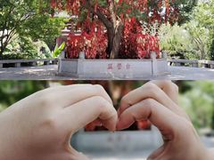 -西安华清御汤酒店